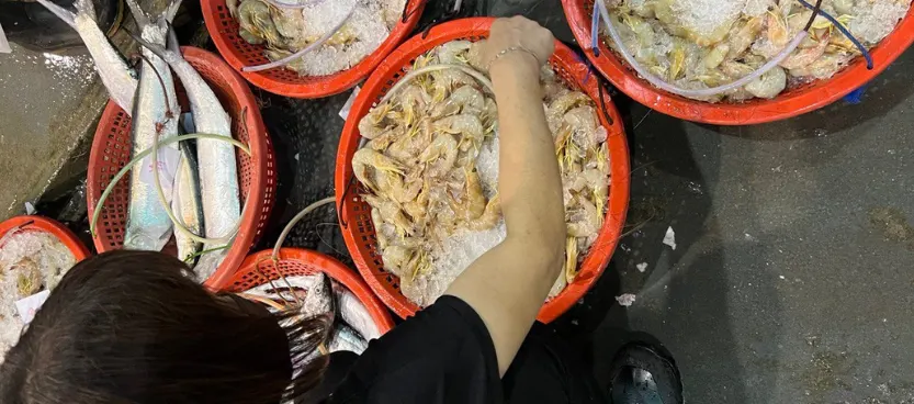 Baskets of prawns and fish on ice at the stall